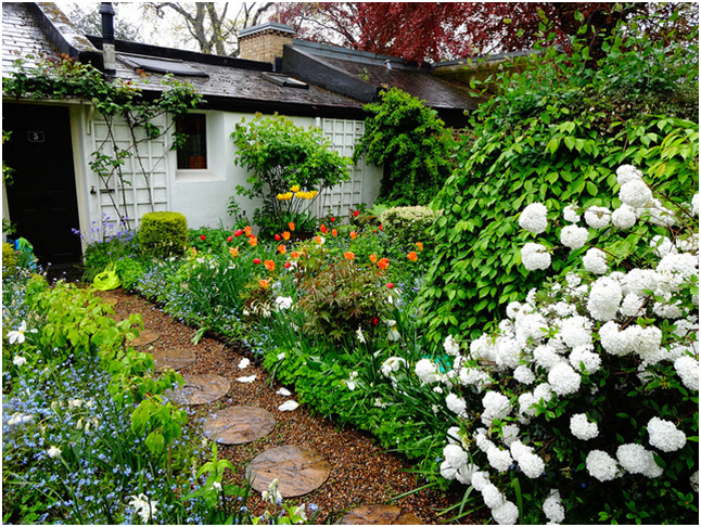 Top 10 Secrets Revealed For A Flawless and Frugal Garden