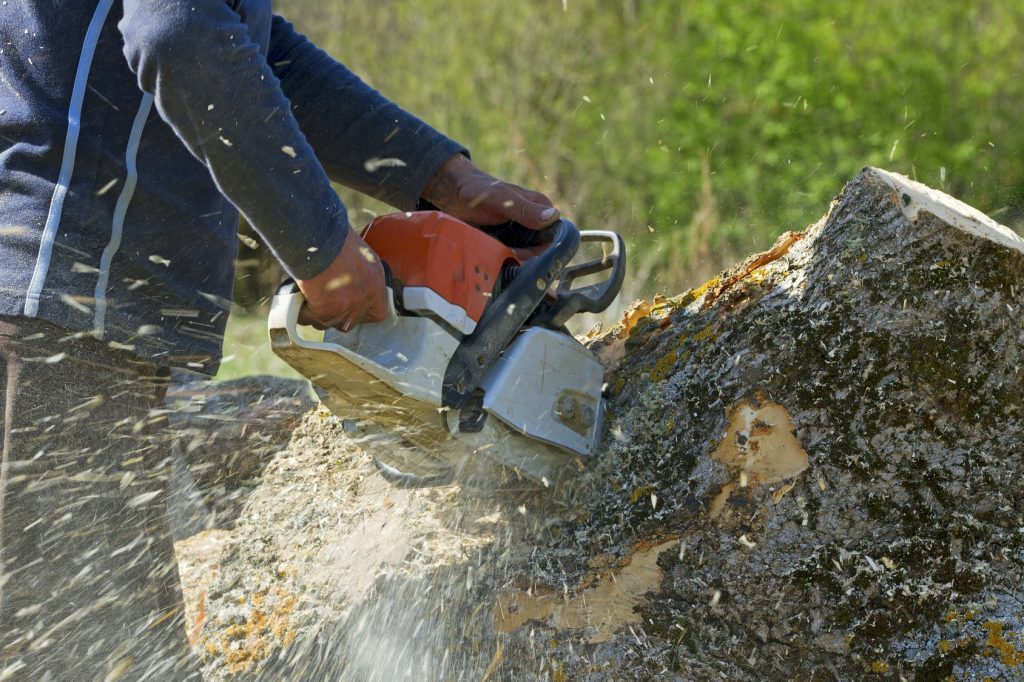 stump grinding melbourne