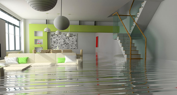 When To Inspect For Water Damage