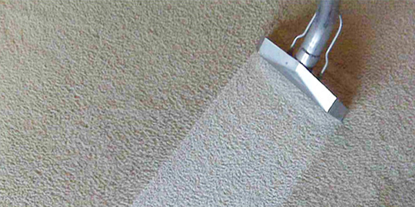 What To Expect The Day After Carpet Cleaning