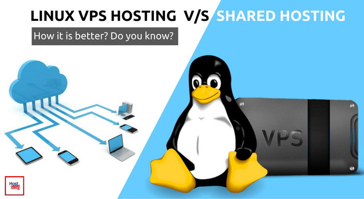 Linux VPS hosting and shared hosting